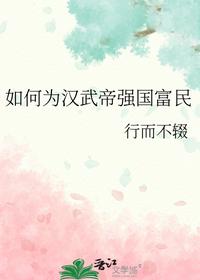 如何为汉武帝强国富民